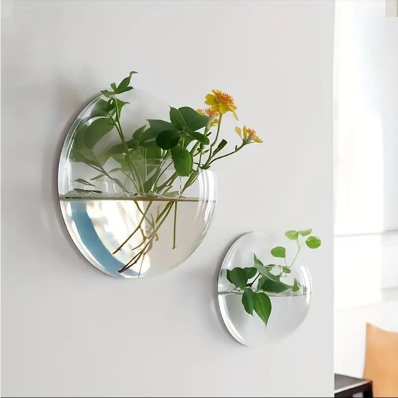 ❗️SOLD❗️2 (TWO) Wall-mounted Decorative Set, Hydroponic Plant Transparent - Picture 14 of 16